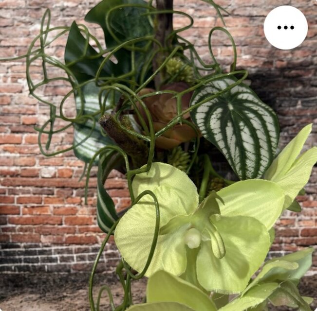 光触媒 人工観葉植物 ウォールグリーン フェイクグリーン 流木