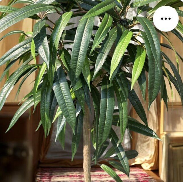 光触媒 人工観葉植物 ウォールグリーン フェイクグリーン サンスベリア