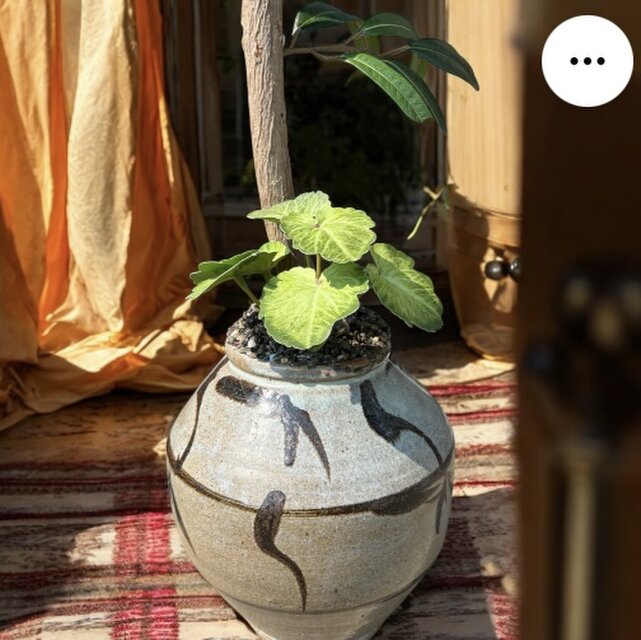 光触媒 人工観葉植物 ウォールグリーン フェイクグリーン ロココ調