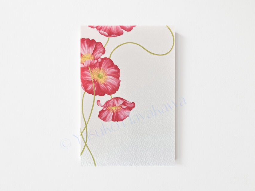 「花のポストカード」 3枚セット　（1） 赤いポピー
