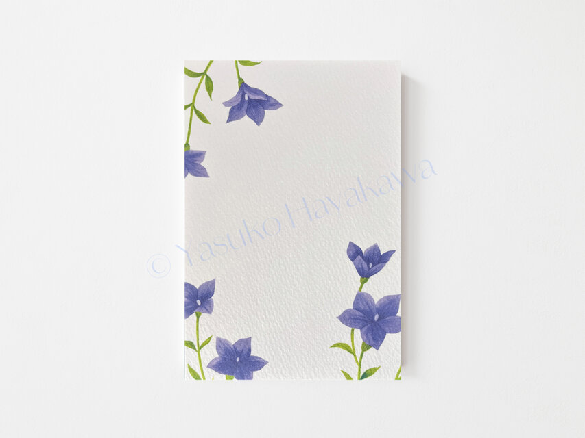 「花のポストカード」 3枚セット　（6） キキョウ