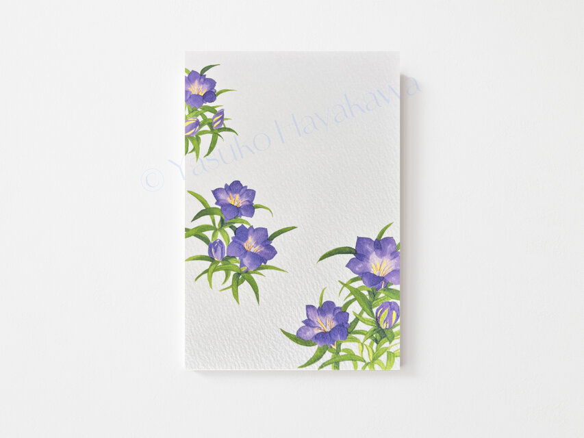 「花のポストカード」 3枚セット（10） リンドウ