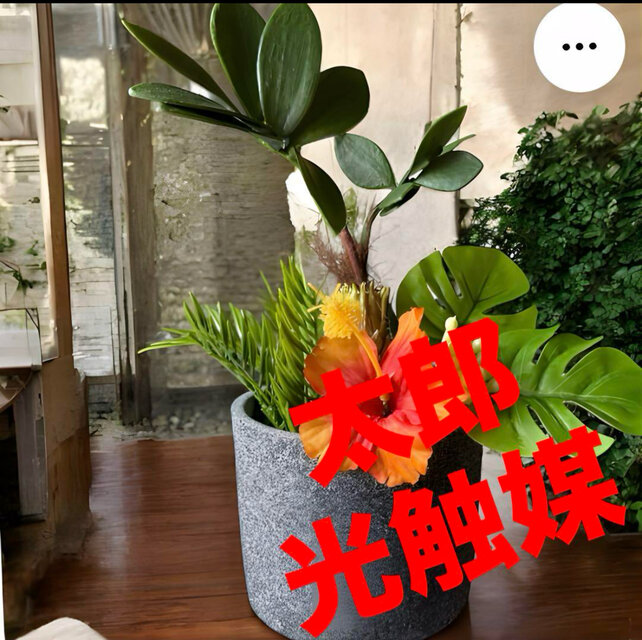 光触媒　人工観葉植物　ウォールグリーン　フェイクグリーン　トロピカルとハイビスカス