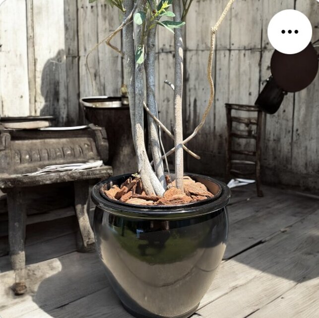 光触媒 人工観葉植物 ウォールグリーン フェイクグリーン オリーブtja