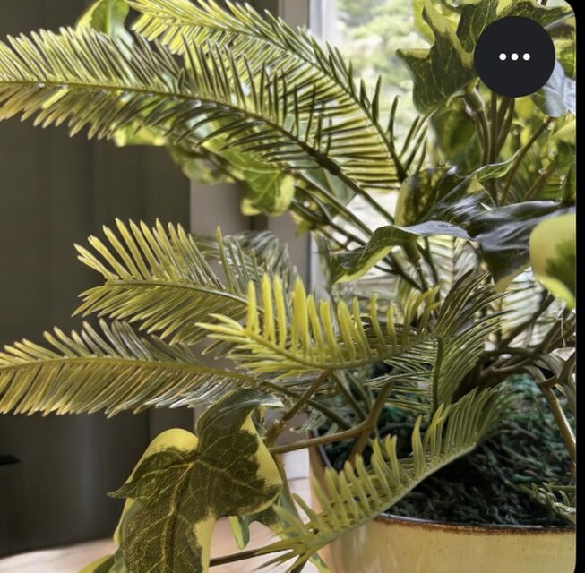 光触媒 人工観葉植物 ウォールグリーン フェイクグリーン 光触媒 人工観葉植物 ウォールグリーン フェイクグリーン