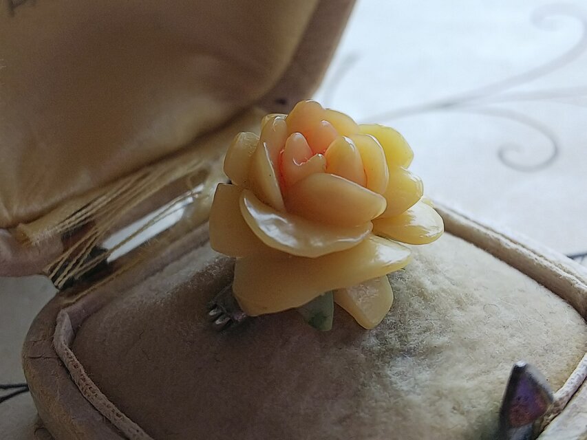 ヴィンテージ ピーチ色の薔薇／セルロイド製 ブローチ | iichi 日々の 