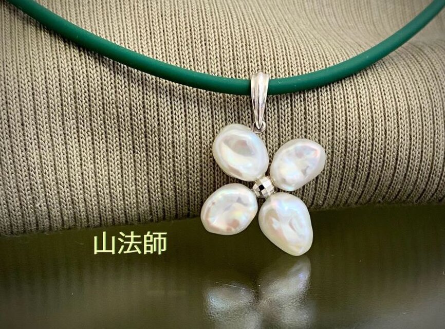 山法師（ヤマボウシ）