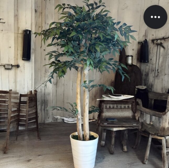 光触媒 人工観葉植物 ウォールグリーン フェイクグリーン イタリアン 