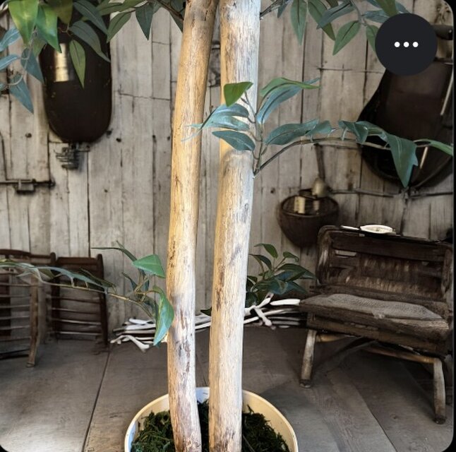 光触媒 人工観葉植物 ウォールグリーン フェイクグリーン イタリアン 
