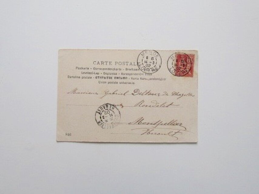 貴婦人と犬』CARTE POSTALE フランスアンティークポストカード