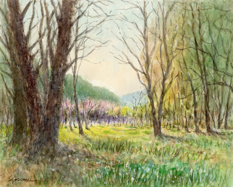 水彩画原画 湿原の春 ＃683 | iichi 日々の暮らしを心地よくする