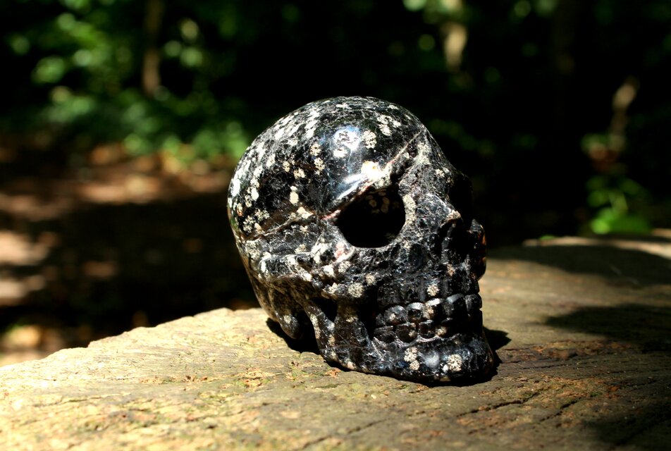 スノーフレークオブオブシディアン　スカル