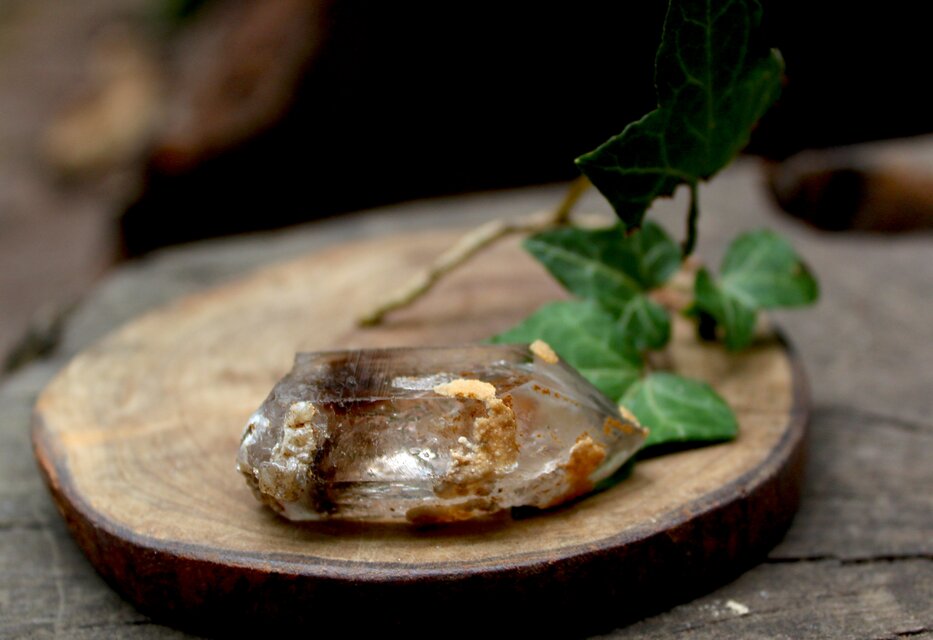 エンハイドロ トライゴーニック　イシス　レコードキーパー　バーナクル　マニフェステーション　スターブラリー　ブランドバーグ　