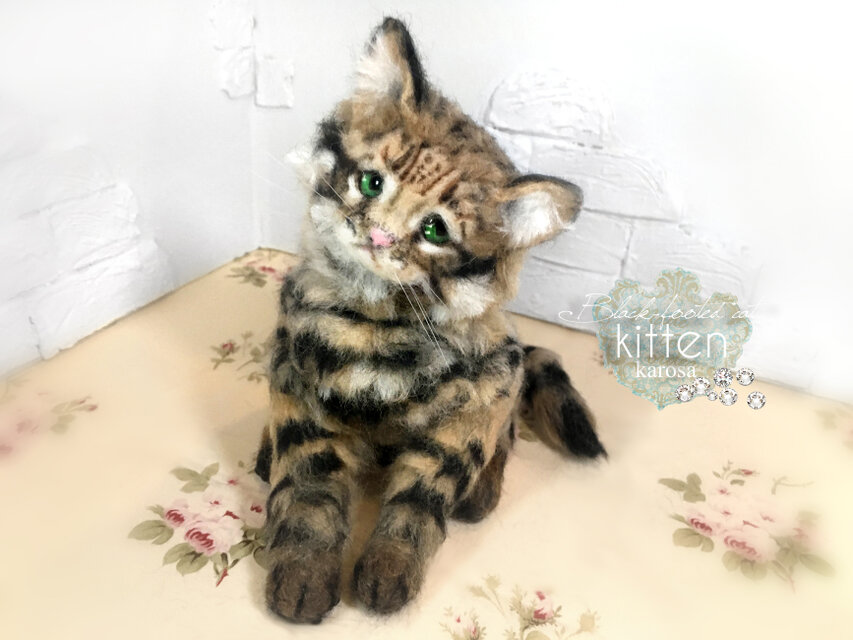 クロアシネコ 子猫 世界最小の猫 可動 困り顔 しょんぼり顔