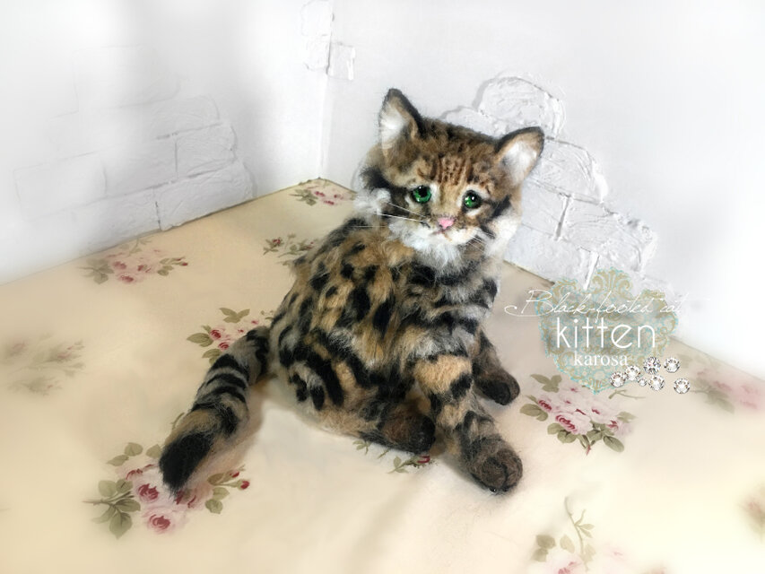 クロアシネコ 子猫 世界最小の猫 可動 困り顔 しょんぼり顔 いじけ顔