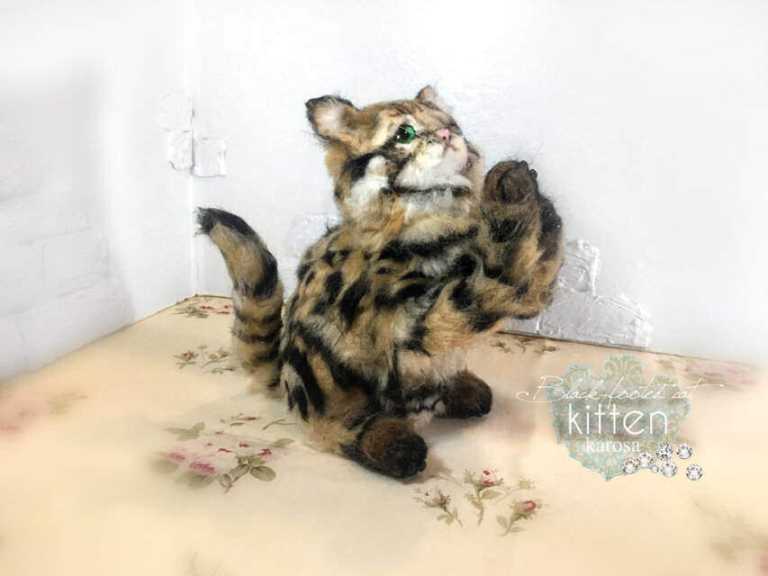 クロアシネコ 子猫 世界最小の猫 可動 困り顔 しょんぼり顔 いじけ顔