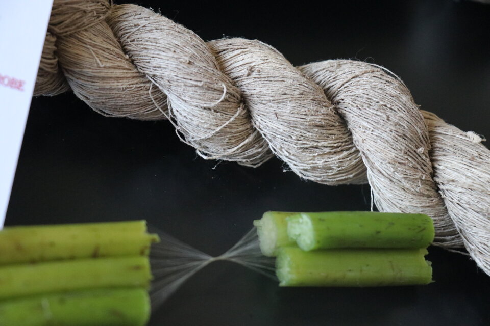 100%蓮糸(藕絲)Normal