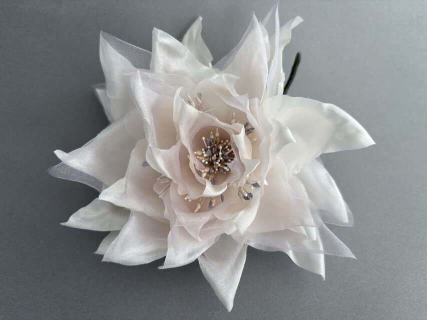 淡いピンクの睡蓮