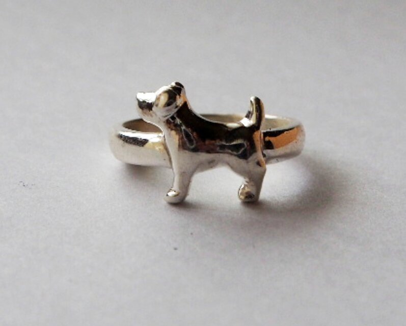 ジャックラッセルテリアR