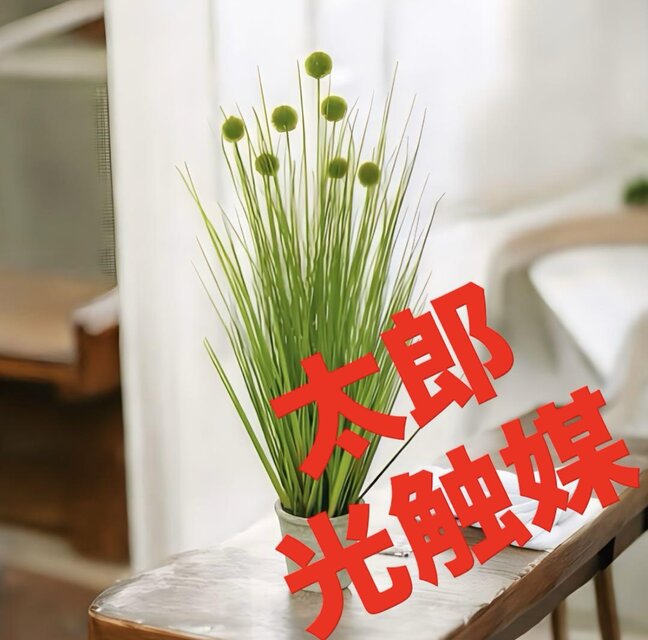 光触媒　人工観葉植物　ウォールグリーン　フェイクグリーン　ポンポングラスポットＭ