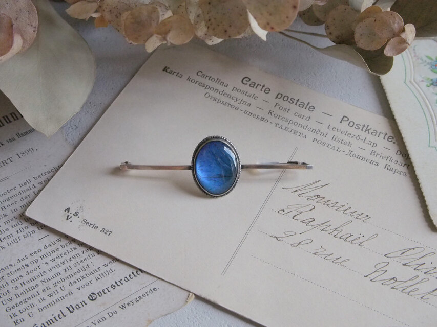 バタフライウィングのブローチ