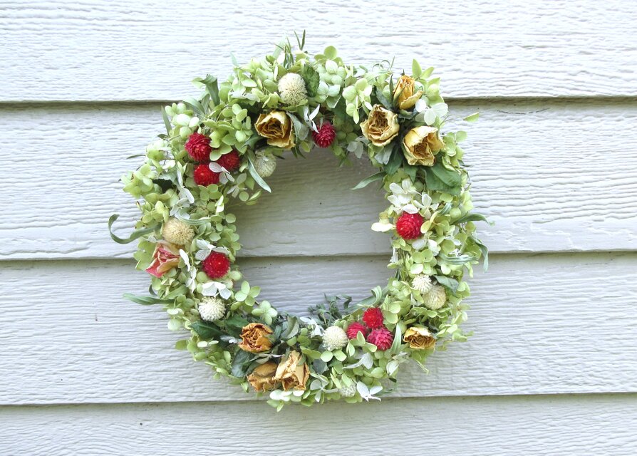 センニチコウとバラ