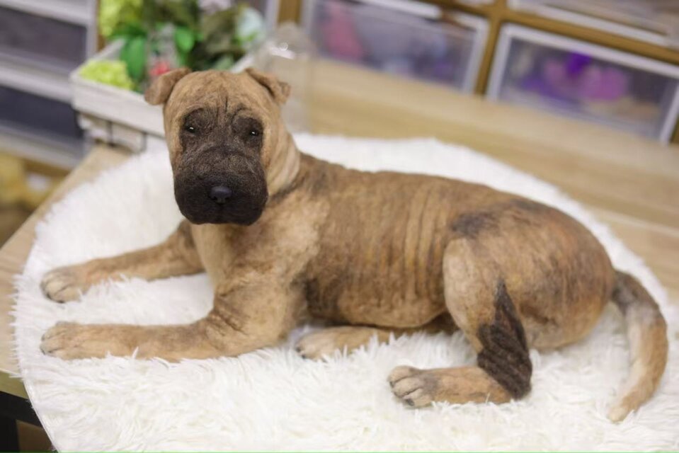 オーダー品　羊毛フェルト犬 新規オーダー4月製作開始分より再開予定】羊毛フェルト
