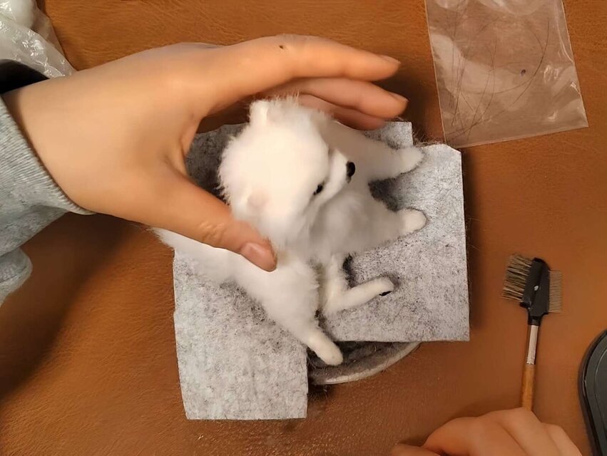 犬 うちの子 レプリカ｜羊毛フェルト オーダーメイド メモリアル