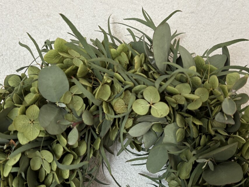 ユーカリとアナベルのリース | iichi 日々の暮らしを心地よく