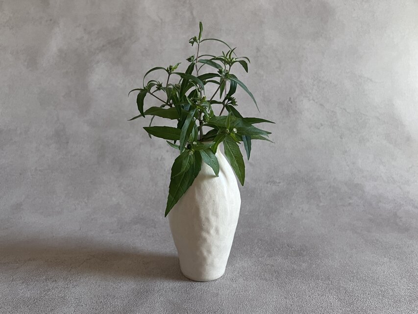 フラワーベース　生成り