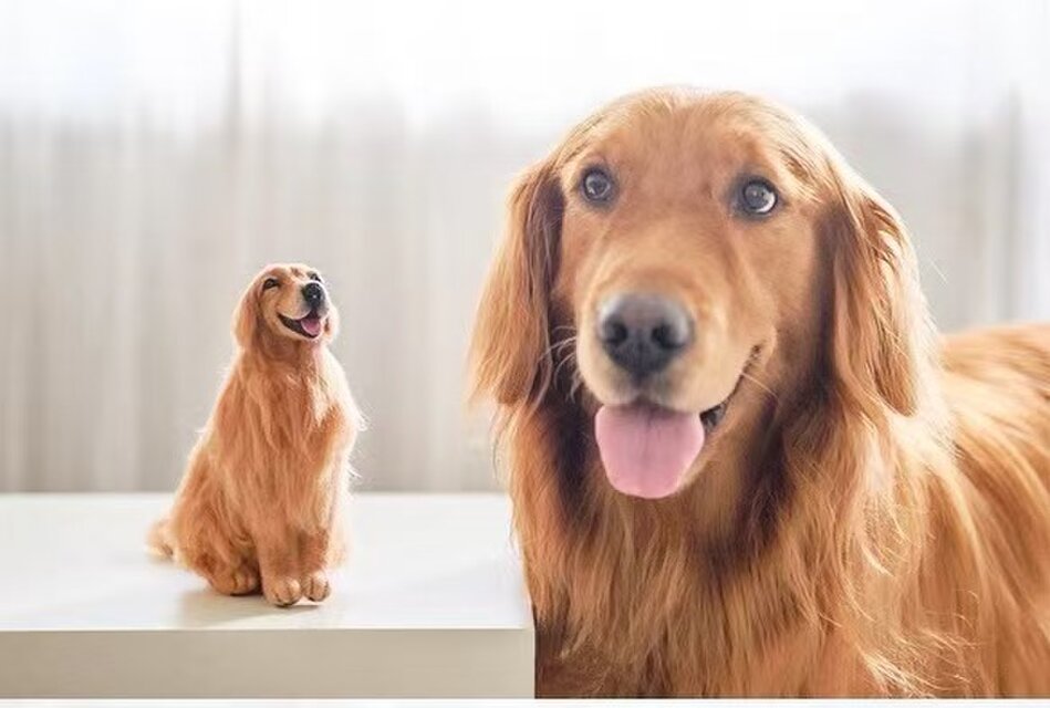 オーダーメイド ペット】 羊毛フェルト オーダーメイド 亡くなっ