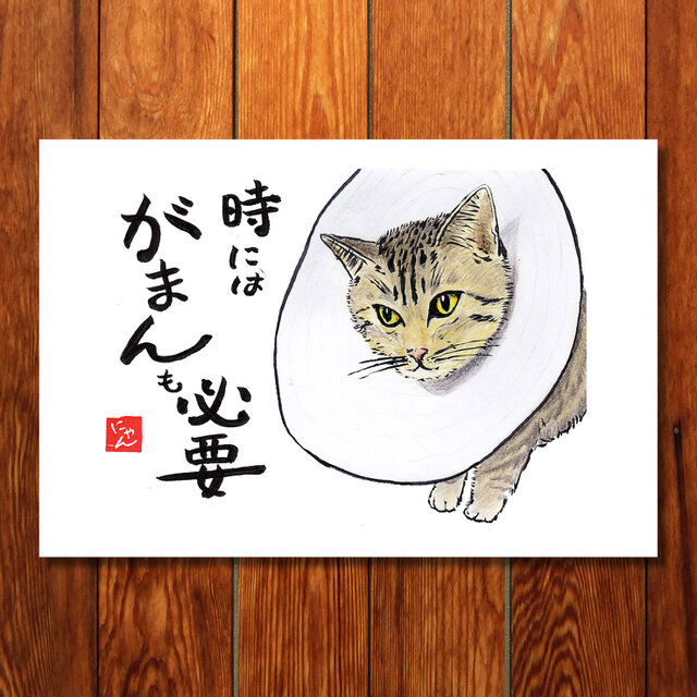 選べる「ねことば」ポストカード3枚セットD / 猫×筆文字アートで心