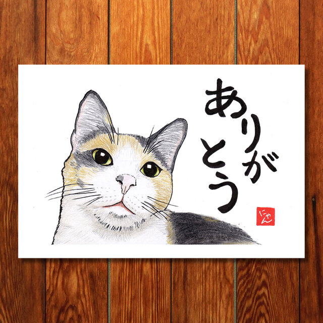 選べる「ねことば」ポストカード3枚セットE / 猫×筆文字アートで心