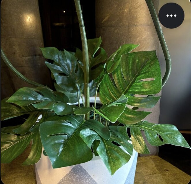光触媒　人工観葉植物　ウォールグリーン　フェイクグリーン　バリ風モンステラ特大4 光触媒 人工観葉植物 ウォールグリーン フェイクグリーン バリ風
