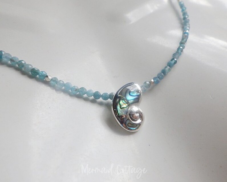 Snail＊Pauashell and Silver 925 シルバー925とパウアシェルの巻貝