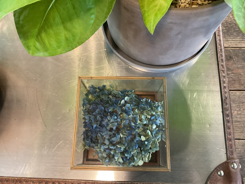 ドライフラワーinガラスボックス