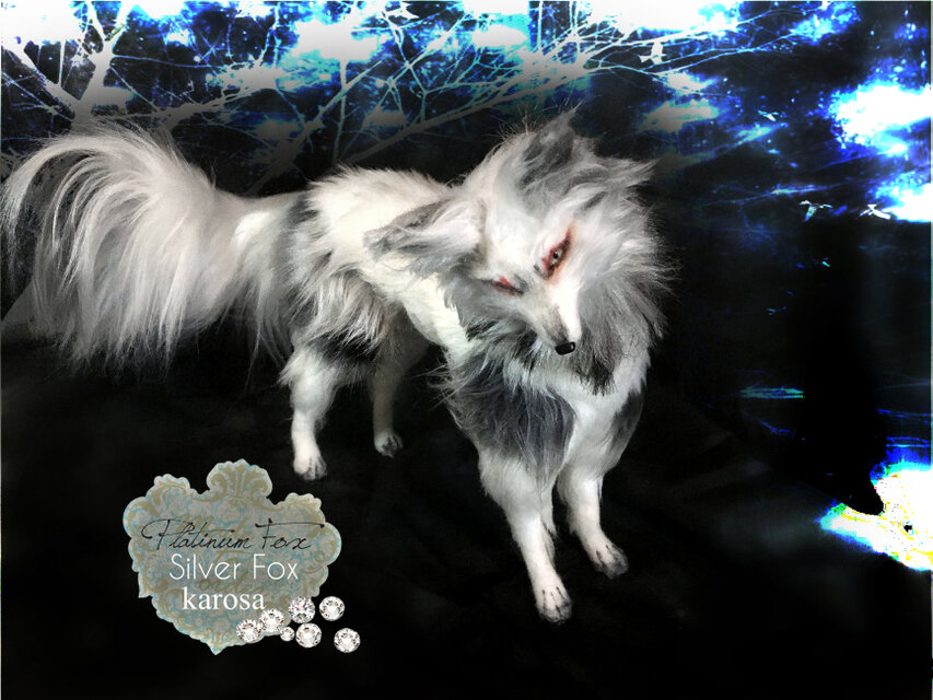 プラチナキツネ 銀狐 全身可動 完全オリジナル キツネ 狐 妖狐 羊毛