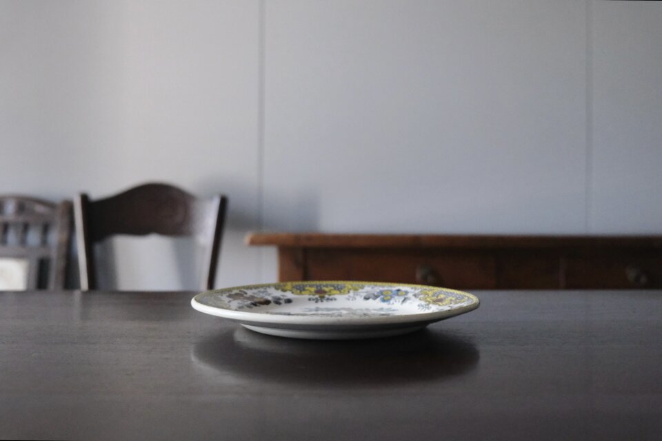 Creil クレイユ ファイアンスフィーヌ 手彩色 平皿 グリザイユ皿 φ20