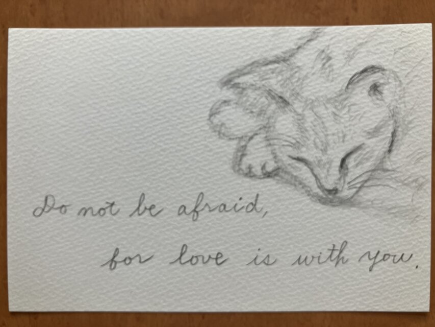 猫と愛の言葉 ドローイング　Do not be afraid. for love is with you.