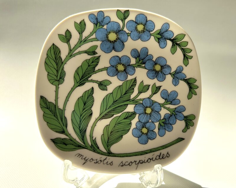 ARABIA Esteri Tomula Botanica わすれな草