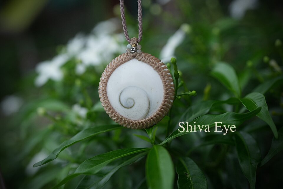 お客様専用：ぐるりラッキーシェル★シヴァアイマクラメネックレス2105