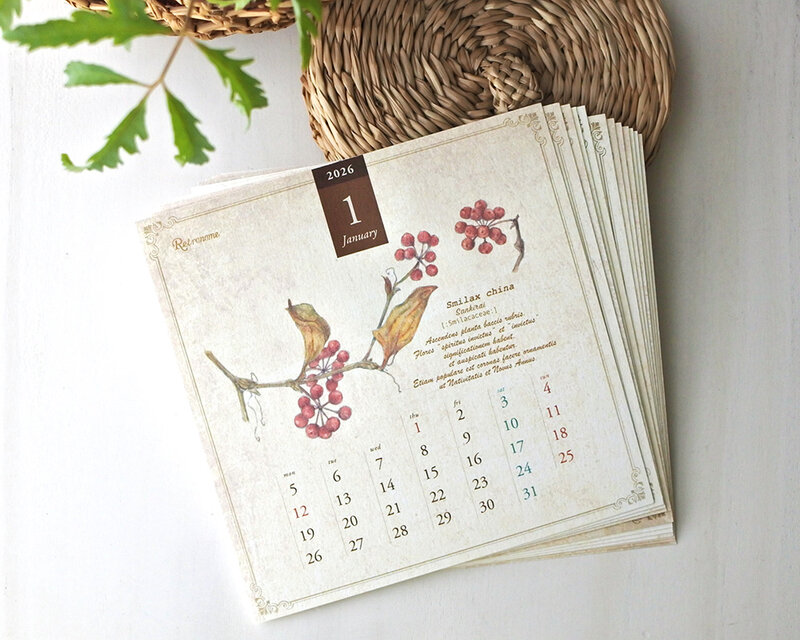 木の実の図鑑風カレンダー2026