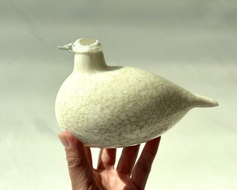 ヌータヤルヴィ バード Nuutajärvi Oiva•Toikka ヌータヤルヴィ バード Nuutajärvi Oiva•Toikka