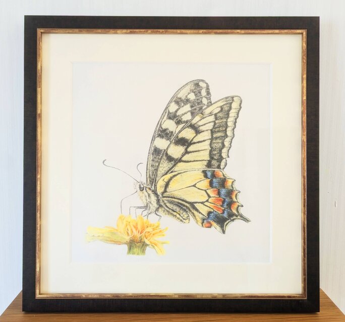 原画 油彩画 【除け者（のけもの）】 キアゲハ 原画(額付き) | iichi 日々の暮らしを心地よくする
