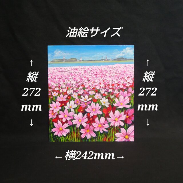 油彩画「コスモス満開の特等席 〜遠賀川の秋風〜」額装・ギフト付