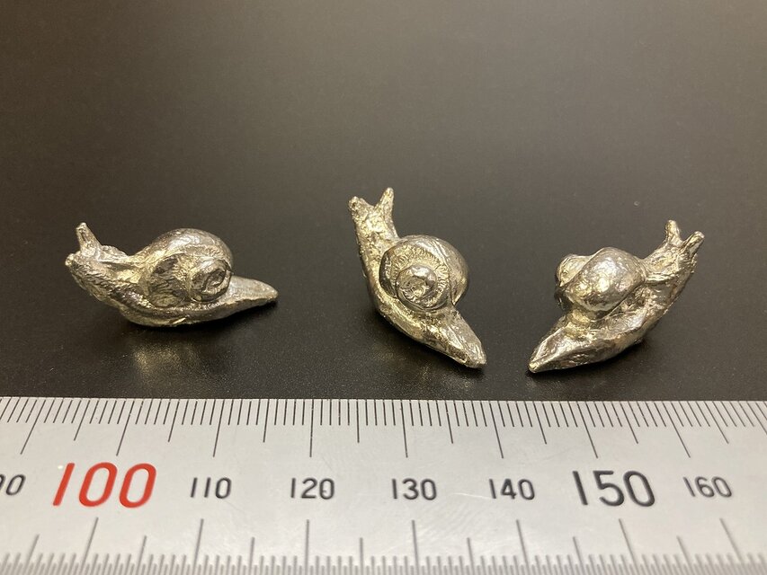 かたつむりたち