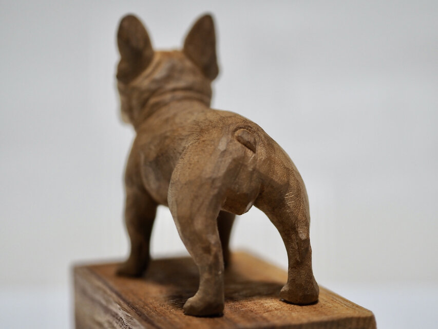 フレンチブルドック