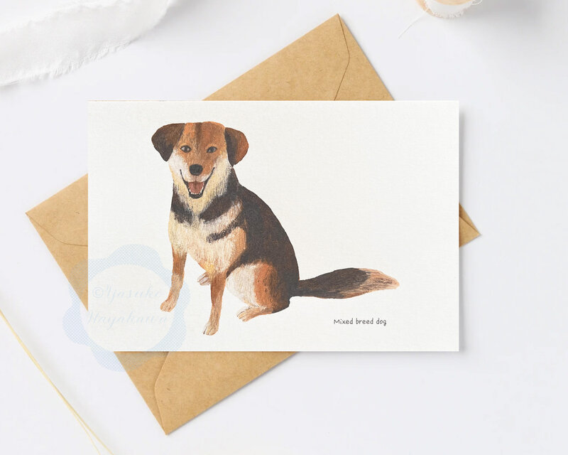 （60）ミックス犬シリーズa　ポストカード　3枚セット