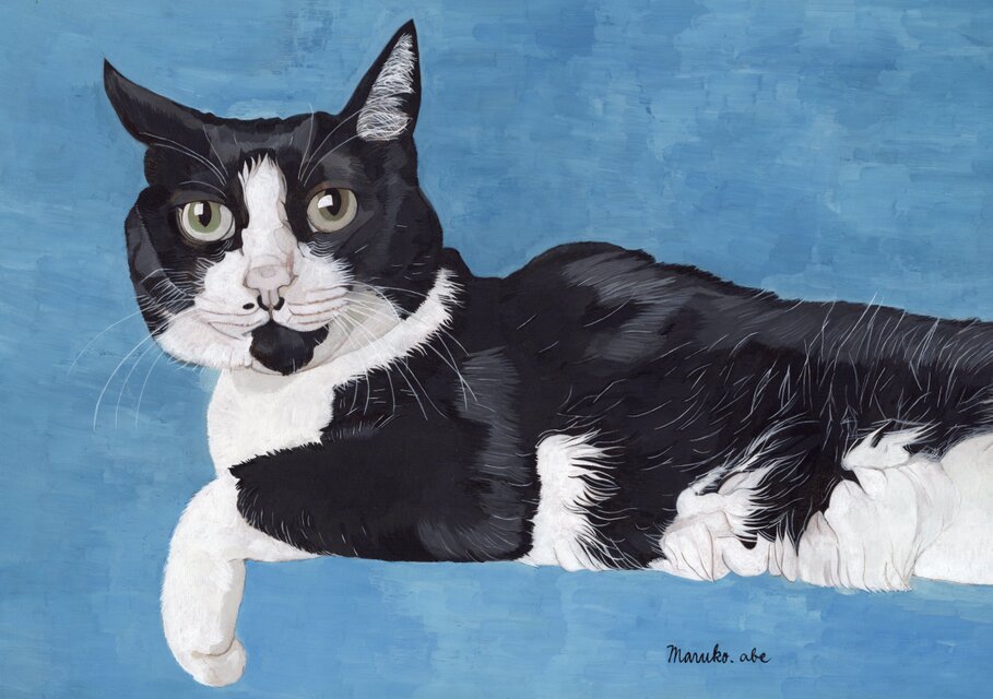 「知らない世界」｜絵画 原画 抽象画 動物画 猫の絵 イラスト アート カラフル」｜絵画 原画 抽象画 動物画 猫の絵 イラスト アート 猫のアート