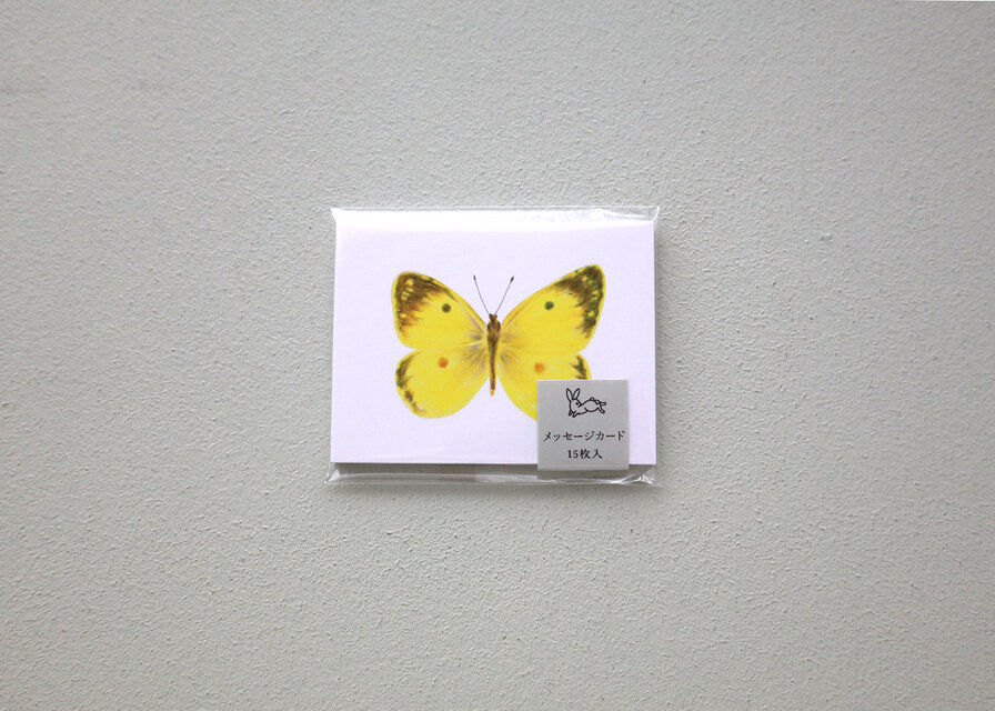 メッセージカード モンキチョウ | iichi 日々の暮らしを心地よくする